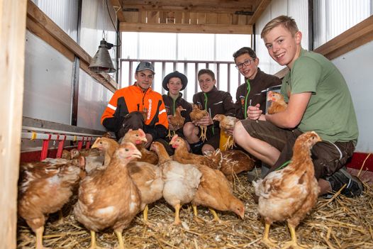 ein Gruppe von Schülern mit Hühnern im Stall